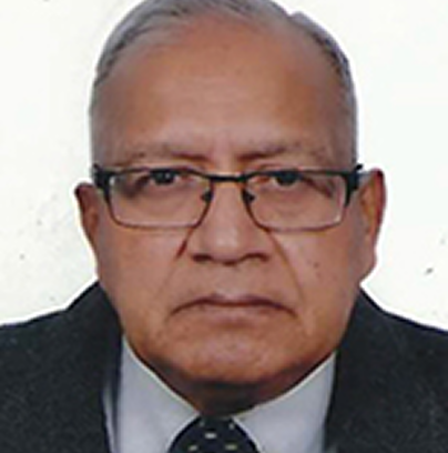 Dr. Bhim Sain